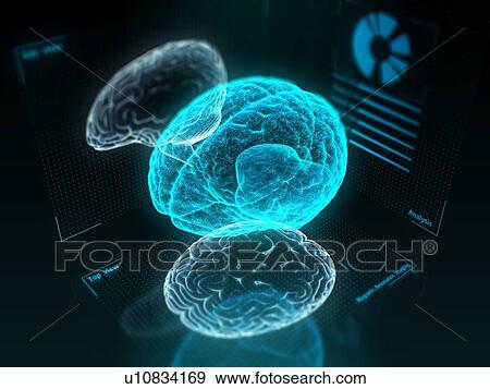 Digital human brain made of virtual wireframe. 3d illustration. View Large Photo Image Stock Photo - Digital human brain made of virtual wireframe. 3d illustration.. Fotosearch
