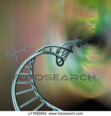 DNA molecule, illustration. View Large Photo Image Picture - DNA molecule, illustration.. Fotosearch