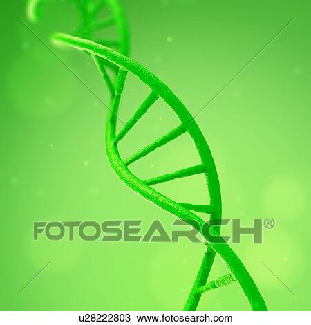 DNA molecule on a green background, illustration. View Large Photo Image Stock Image - DNA molecule on a green background, illustration.. Fotosearch