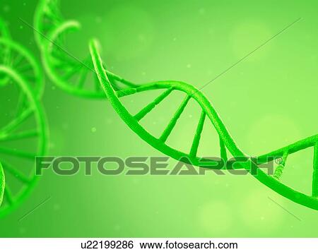 DNA molecule on a green background, illustration. View Large Photo Image Stock Photograph - DNA molecule on a green background, illustration.. Fotosearch