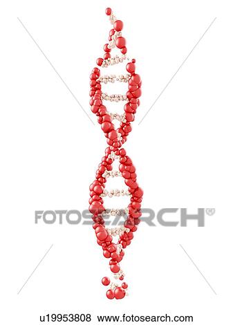 DNA molecule on white background, illustration. View Large Photo Image Stock Photo - DNA molecule on white background, illustration.. Fotosearch