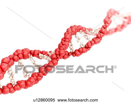 DNA molecule on white background, illustration. View Large Photo Image Stock Photography - DNA molecule on white background, illustration.. Fotosearch