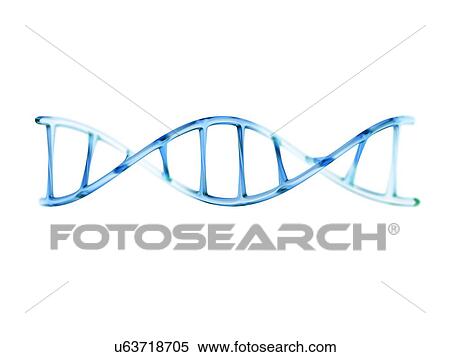 DNA molecule on white background, illustration. View Large Photo Image Stock Photography - DNA molecule on white background, illustration.. Fotosearch