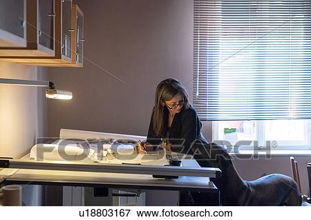 Dog comes to see woman working in home office View Large Photo Image Stock Photo - Dog comes to see woman working in home office. Fotosearch