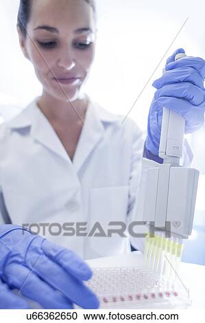 Female laboratory assistant using multi pipette. View Large Photo Image Stock Image - Female laboratory assistant using multi pipette.. Fotosearch