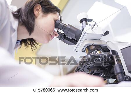 Stock Photograph - Female laboratory technician using microscope in the lab.. Fotosearch