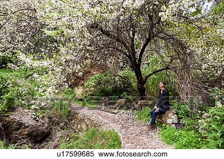 Female tourist looking up at tree blossom, Las Palmas, Gran Canaria, Canary Islands, Spain View Large Photo Image Stock Photography - Female tourist looking up at tree blossom, Las Palmas, Gran Canaria, Canary Islands, Spain. Fotosearch