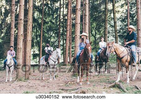 Five young adults horse riding in forest, Primaluna, Trentino-Alto Adige, Italy View Large Photo Image Stock Image - Five young adults horse riding in forest, Primaluna, Trentino-Alto Adige, Italy. Fotosearch