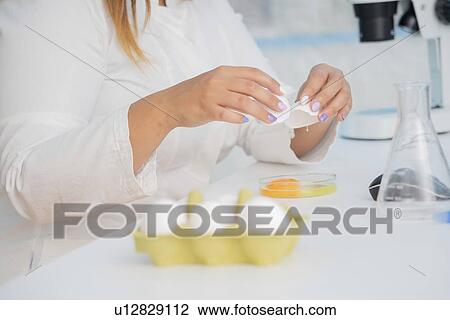 Food research, conceptual image. View Large Photo Image Stock Image - Food research, conceptual image.. Fotosearch