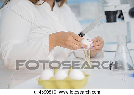 Stock Image - Food research, conceptual image.. Fotosearch