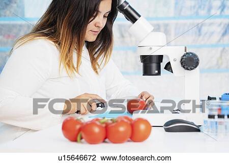 Stock Image - Food research, conceptual image.. Fotosearch