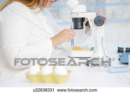 Stock Image - Food research, conceptual image.. Fotosearch