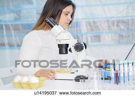 Stock Photo - Food research, conceptual image.. Fotosearch