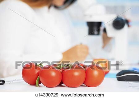 Stock Photo - Food research, conceptual image.. Fotosearch