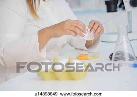 Food research, conceptual image. View Large Photo Image Stock Photo - Food research, conceptual image.. Fotosearch