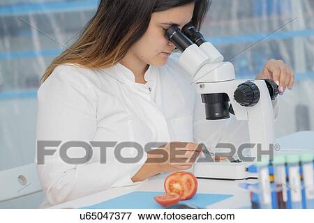 Food research, conceptual image. View Large Photo Image Stock Photo - Food research, conceptual image.. Fotosearch