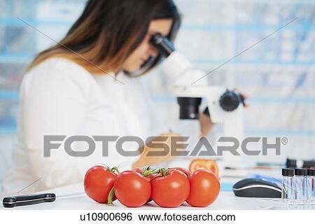 Stock Photograph - Food research, conceptual image.. Fotosearch