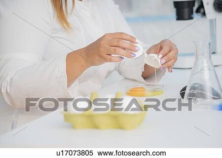 Food research, conceptual image. View Large Photo Image Stock Photography - Food research, conceptual image.. Fotosearch
