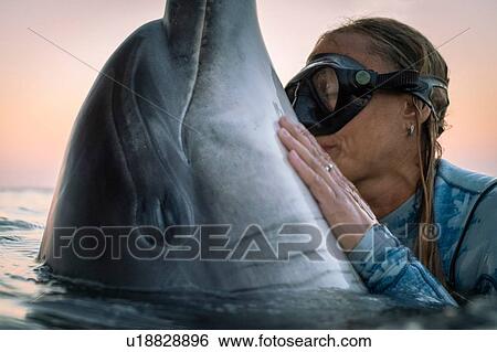 Stock Photograph - Freediver interacts with wild solitary Bottlenose Dolphin Dusty, Doolin, Clare, Ireland. Fotosearch