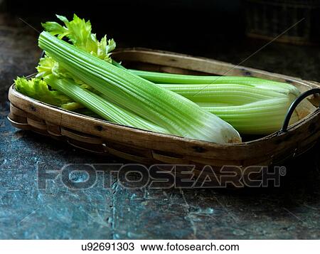 Fresh celery View Large Photo Image Stock Image - Fresh celery. Fotosearch