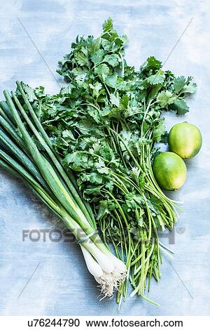 Fresh green onions, coriander and lime View Large Photo Image Stock Image - Fresh green onions, coriander and lime. Fotosearch