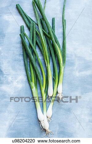 Fresh green onions View Large Photo Image Stock Image - Fresh green onions. Fotosearch