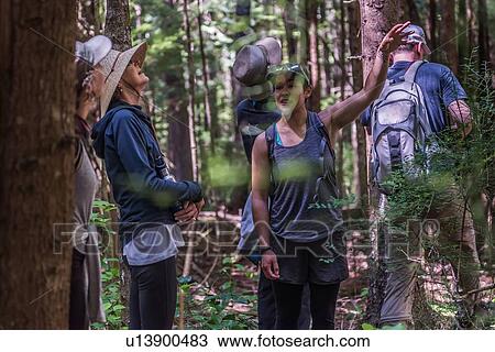 Stock Image - Friends hiking in forest, Johnstone Strait, Telegraph Cove, Canada. Fotosearch