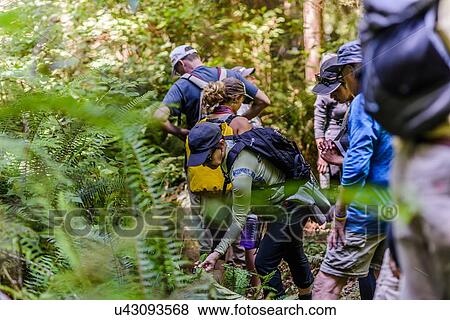 Stock Photo - Friends hiking in forest, Johnstone Strait, Telegraph Cove, Canada. Fotosearch