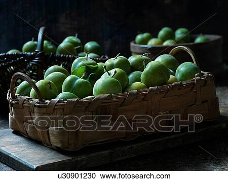 Greengage plums View Large Photo Image Stock Image - Greengage plums. Fotosearch