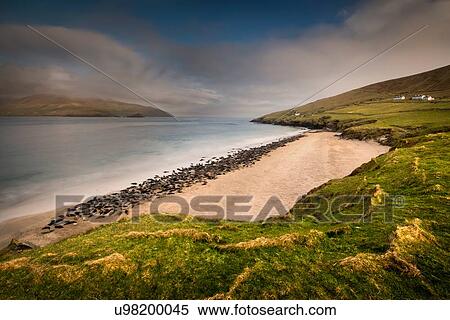 Grey Seal colony on Great Blasket beach, Blasket Islands, Ireland View Large Photo Image Stock Photography - Grey Seal colony on Great Blasket beach, Blasket Islands, Ireland. Fotosearch