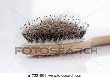 Hairbrush covered with hair, studio shot. View Large Photo Image Stock Image - Hairbrush covered with hair, studio shot.. Fotosearch