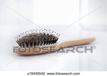 Stock Image - Hairbrush covered with hair, studio shot.. Fotosearch