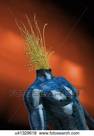 Stock Photo - Headless android with wires coming from neck, illustration.. Fotosearch