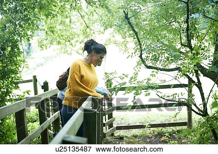 Hiker and friend looking over wooden bridge View Large Photo Image Stock Photo - Hiker and friend looking over wooden bridge. Fotosearch