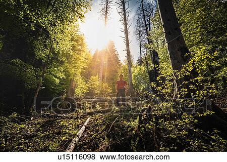 Stock Photo - Hiker trekking French Alps, Parc naturel rgional du Massif des Bauges, Chatelard-en-Bauges, Rhone-Alpes, France. Fotosearch