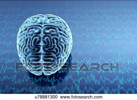 Human brain. 3D illustration. View Large Photo Image Stock Image - Human brain. 3D illustration.. Fotosearch