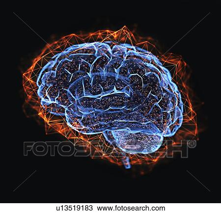 Stock Image - Human brain, illustration.. Fotosearch