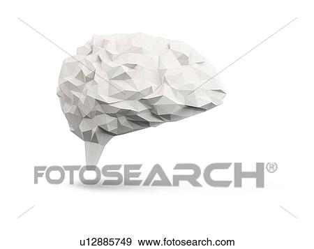 Human brain, illustration. View Large Photo Image Stock Photo - Human brain, illustration.. Fotosearch