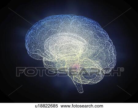 Human brain, illustration. View Large Photo Image Stock Photography - Human brain, illustration.. Fotosearch