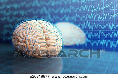 Human brain on encephalography background. 3D illustration. View Large Photo Image Stock Photo - Human brain on encephalography background. 3D illustration.. Fotosearch