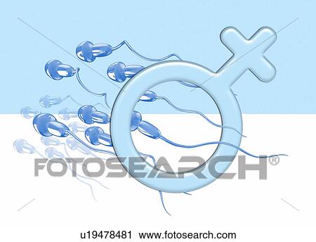 Stock Image - Human sperm and blue female gender symbol, illustration.. Fotosearch