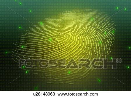 Illustration of an embossed human fingerprint on a flat surface, with binary digits superimposed. This could be used to convey the concept of biometrics. View Large Photo Image Stock Image - Illustration of an embossed human fingerprint on a flat surface, with binary digits superimposed. This could be used to convey the concept of biometrics.. Fotosearch