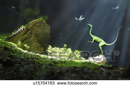 Illustration of the carnivorous dinosaur, Compsognathus. This was a genus of small theropods that lived during the Jurassic period, 150 million years ago, in what is now Europe. Only one species is known, C. longipes. It grew to about one metre in... View Large Photo Image Stock Image - Illustration of the carnivorous dinosaur, Compsognathus. This was a genus of small theropods that lived during the Jurassic period, 150 million years ago, in what is now Europe. Only one species is known, C. longipes. It grew to about one metre in.... Fotosearch