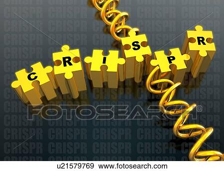 Stock Photo - Jigsaw pieces with CRISPR and dna strand, illustration.. Fotosearch