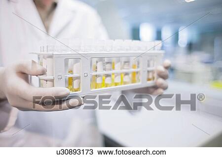 Stock Image - Laboratory assistant holding medical samples in rack.. Fotosearch