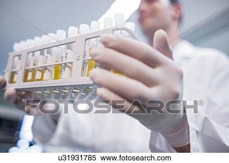 Stock Photography - Laboratory assistant holding medical samples in rack.. Fotosearch