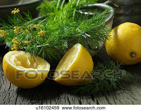 Stock Photo - Lemon and dill. Fotosearch