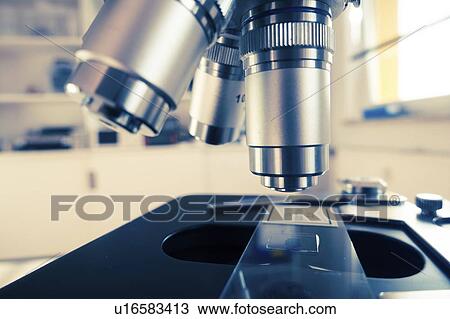 Light microscope. View Large Photo Image Stock Image - Light microscope.. Fotosearch