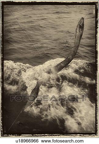 Stock Photograph - Loch Ness monster in water, sepia illustration.. Fotosearch