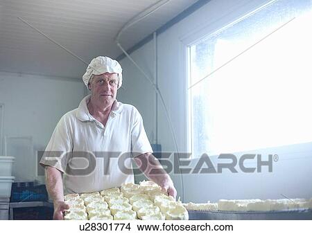 Picture - Male cheesemaker carrying tray of fresh cheeses, portrait. Fotosearch